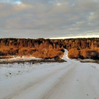 В области :: Олег Денисов