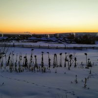 Морозное утро :: Олег Денисов