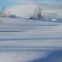 Линии и снежности. :: игорь кио 