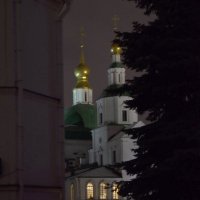 Данилов монастырь :: Oleg4618 Шутченко