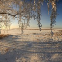 На вечер :: Сергей Жуков