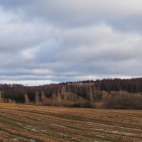 Январь, похожий на весну. :: Милешкин Владимир Алексеевич 