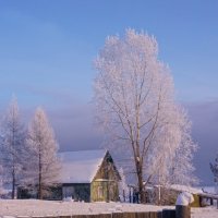 Зима, холода, одинокие дома. :: Валентина Налетова