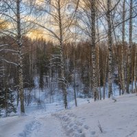 Тропинка под горку :: Сергей Цветков