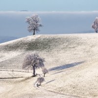 winter Märchen :: Elena Wymann