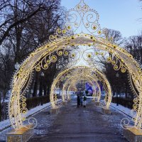 В парке Горького :: Ольга 