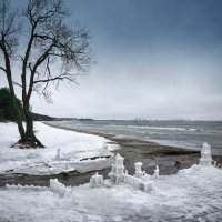 FEP Fotograaf Arkadi Baranov, Tallinn :: Аркадий  Баранов Arkadi Baranov