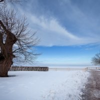 В зимнем парке... :: Сергей Кичигин