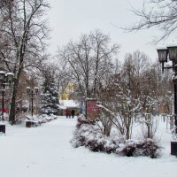 Первый снег :: Роман Савоцкий