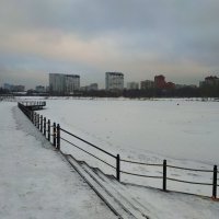 В Москве это называется зимой :: Андрей Лукьянов