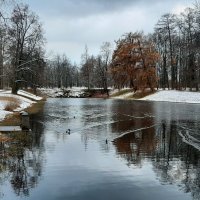 Царское Село. Екатерининский парк :: Наталья Герасимова