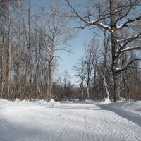 По лыжным трассам января :: Андрей Заломленков (настоящий) 