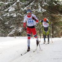 Про лыжные гонки (классика) :: Евгений Седов