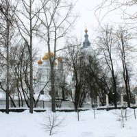 В Райском саду зимой. г. Пермь. :: Евгений Шафер