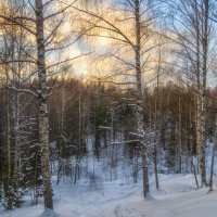 Зимняя дорожка :: Сергей Цветков