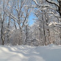 По нехоженным тропинкам... :: Андрей Заломленков (настоящий) 