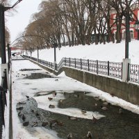 В Райском саду зимой. г. Пермь. :: Евгений Шафер