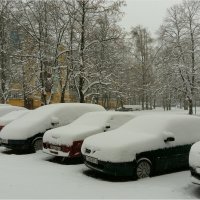 Бездомные :: Геннадий Худолеев Худолеев