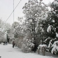 Городская зима :: Нина Бутко