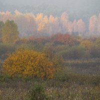 Струится тихий мягкий свет... :: Любовь 