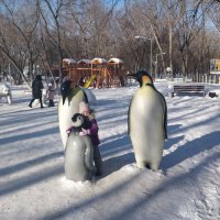 Пингвины :: Андрей Хлопонин