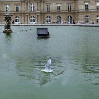кораблики  в фонтане Парижа :: ИРЭН@ .