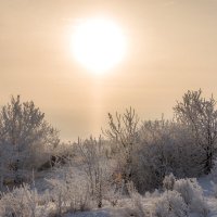 Луч солнца золотого... :: Наталья Димова