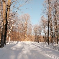 О лыжных днях в январе.. :: Андрей Заломленков (настоящий) 