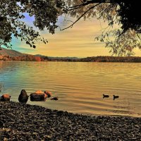 Озеро Маджоре поздней осенью :: Aida10 
