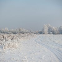 В чистом поле,в снежном поле........ :: Вадим Басов