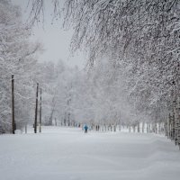Петрозаводск зимний... :: Елена Митряйкина