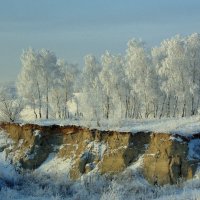 Парад берёзок. :: nadyasilyuk Вознюк