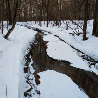 Не самая цветная часть зимы :: Андрей Лукьянов