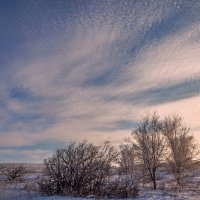 Январское небо :: Наталья Димова