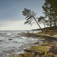 FEP Fotograaf Arkadi Baranov, Tallinn :: Аркадий  Баранов Arkadi Baranov