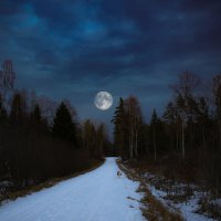 Прогулки при полной Луне :: liudmila drake