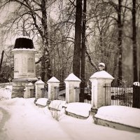 Гребнево :: Любовь 