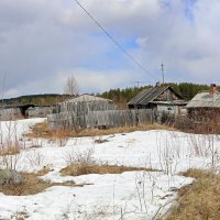 Заполярная весна :: Ольга 