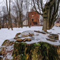 На территорий усадьбы Братцево :: Георгий А