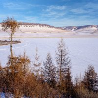 ***** :: Алексей Мезенцев