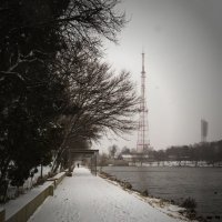 Первый снег :: Игорь Протасов