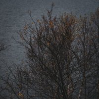 Осенний день на озере Сорока :: Сергей Семенков