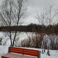 Цветной снимок в сезоне ЧБ фотографии :-) :: Андрей Лукьянов