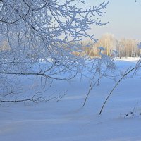 Голубой денёк морозный :: Татьяна Лютаева