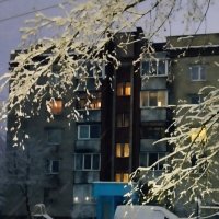 Снегопад. :: Галина Бобкина