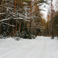 Зима - февраль. :: Милешкин Владимир Алексеевич 
