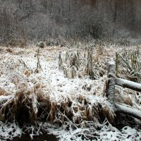 Щедрая  Зима :: олег свирский 