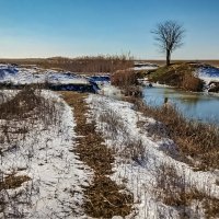 Бескрайние кубанские степи :: Игорь Протасов