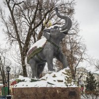 Мальчик на слоне :: Игорь Протасов