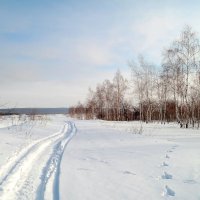 По дорожкам зимы.. :: Андрей Заломленков (настоящий) 